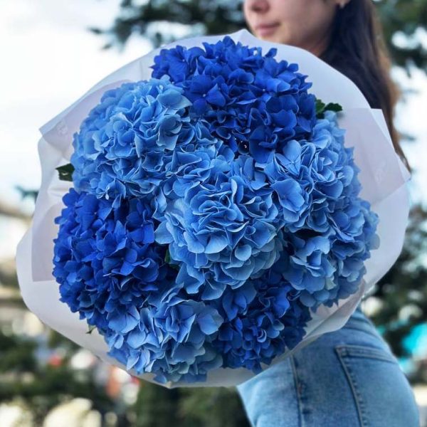 A stunning bouquet featuring hydrangeas in various shades, perfect for adding elegance and charm to any occasion.