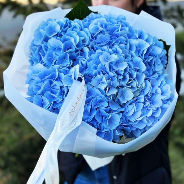 A bouquet showcasing the timeless elegance of hydrangeas in various shades, perfect for any occasion.