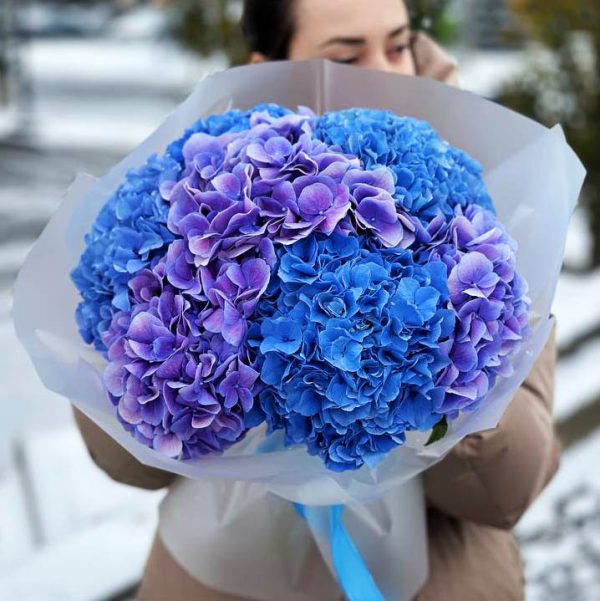 Image of the "Hydrangea Harmony" bouquet featuring an assortment of blue, pink, and white hydrangeas, symbolizing natural elegance and tranquility, perfect for special occasions and heartfelt sentiments.