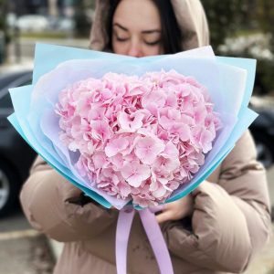 Image of the "Elegance in Hydrangea" bouquet, showcasing a composition of hydrangea blooms in varying shades, radiating simplicity and sophistication, making it a timeless gift choice.