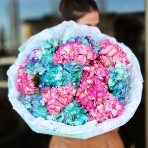 Hydrangea Harmony arrangement featuring a mix of colorful hydrangeas