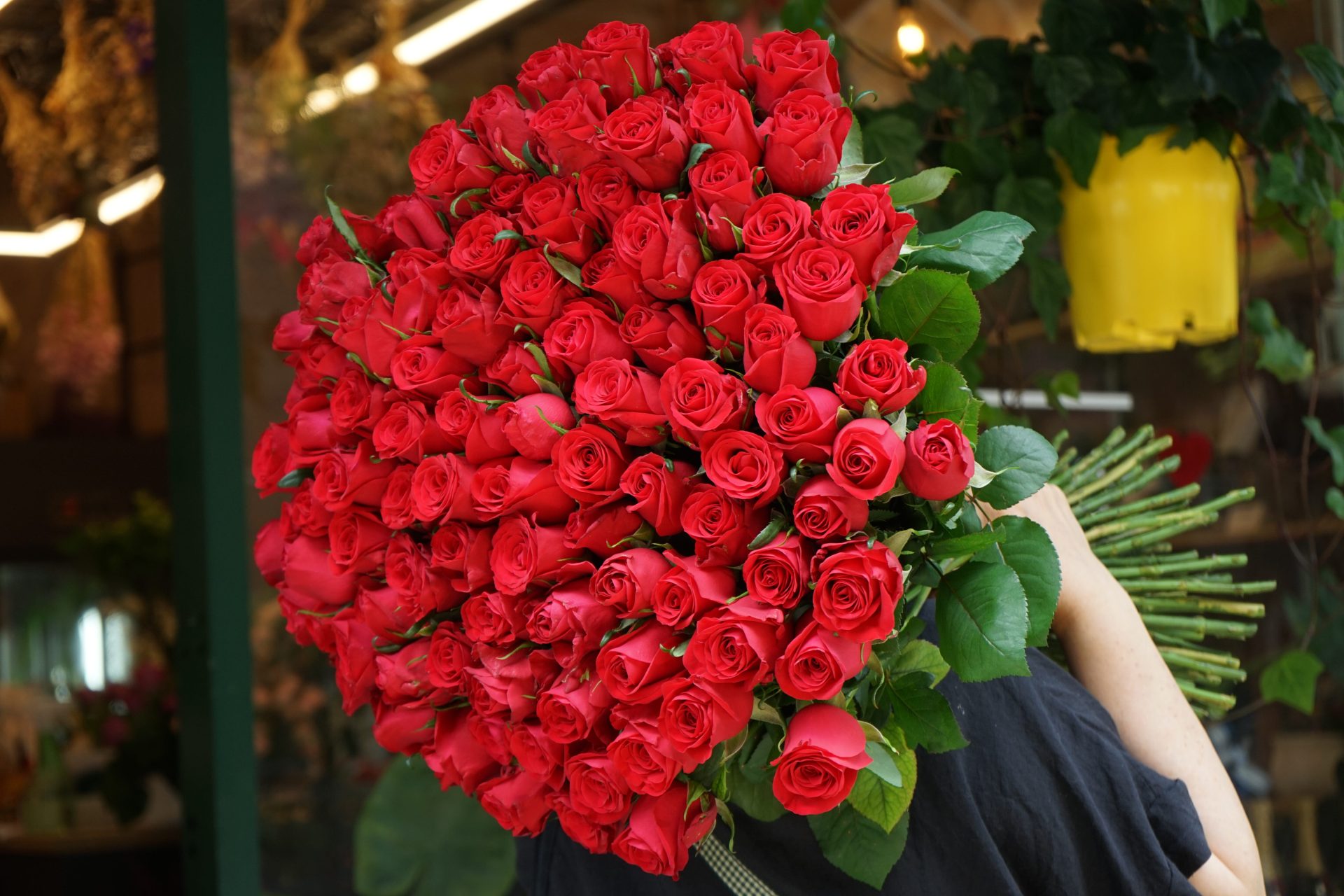 short-long-roses