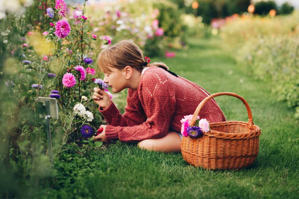 best smelling flowers